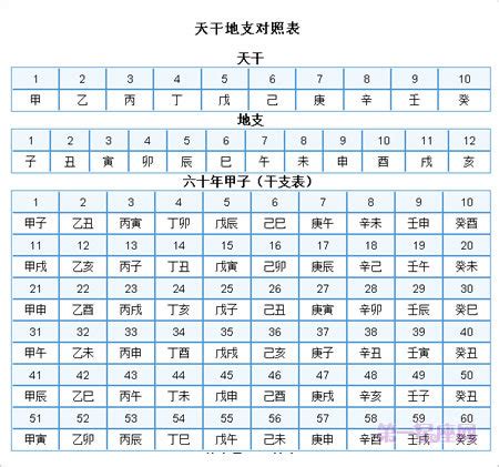 1992 天干地支|干支对照表